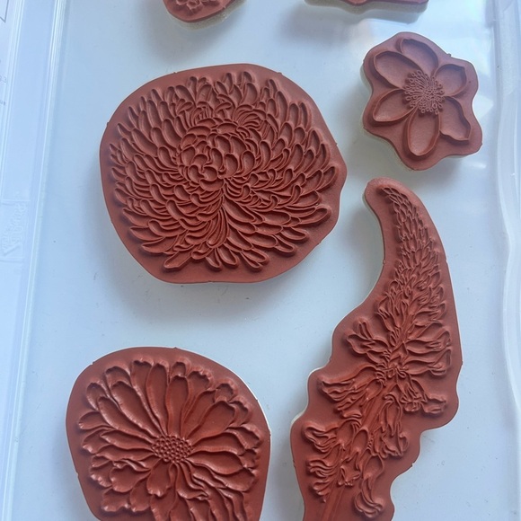 e Stampin Up Forever Florals 6 pc - Picture 2 of 2